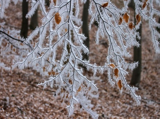 В Оренбургской области прогнозируется снег и изморозь