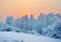 По последней информации с 7 по 9 января в Алтайском крае дневная температура составит от -21 до -26 градусов