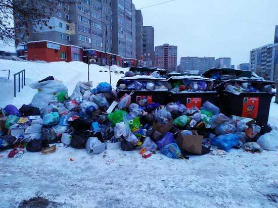 Мусорным коллапсом в Кирове займутся правоохранительные органы
