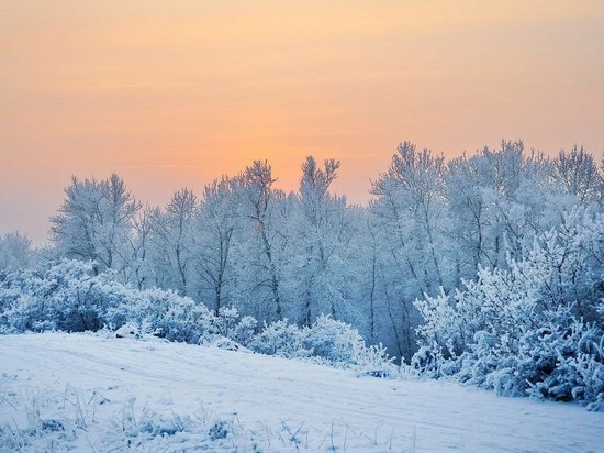 Гидрометцентр в Алтайском крае объявил штормовое предупреждение из-за аномальных морозов
