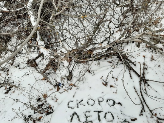 МЧС по Саратовской области прогнозирует на Рождество снег с ледяным дождём