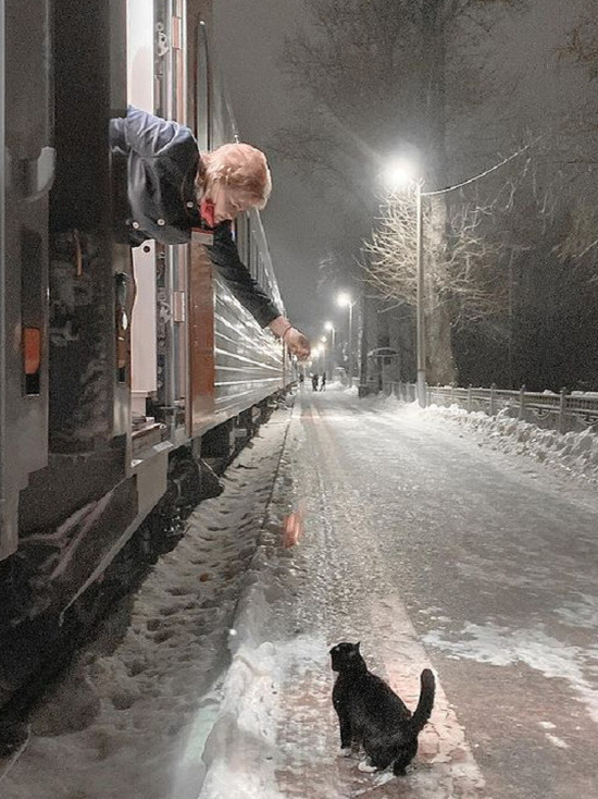 Кот Феликс каждый день встречает поезд "Псков-Москва"