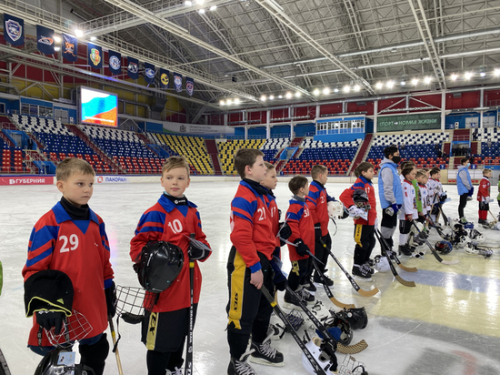 Краевой Рождественский турнир по хоккею с мячом завершился в Хабаровске