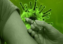 Идеальный момент для вакцинации переболевших коронавирусом от нового заражения наступает тогда, когда количество антител в организме достигает «серой зоны»
