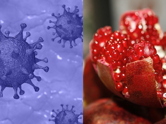 Ученые заявили о способности фитотерапии противостоять коронавирусу