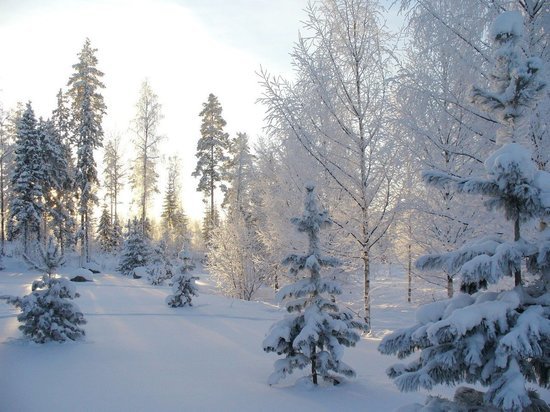 Сильные морозы нагрянут в Кузбасс в начале рабочей недели