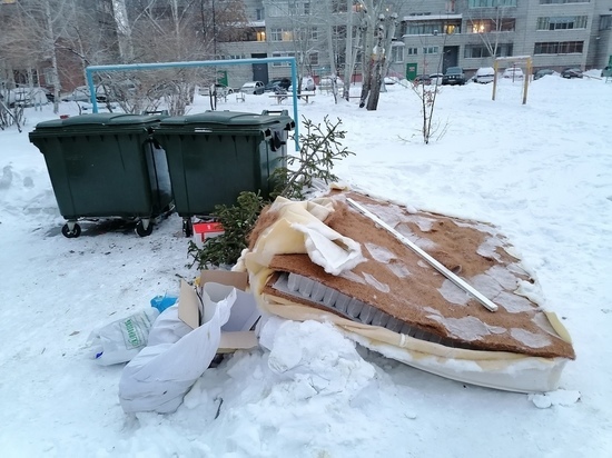 В Новосибирске проверили график вывоза мусора