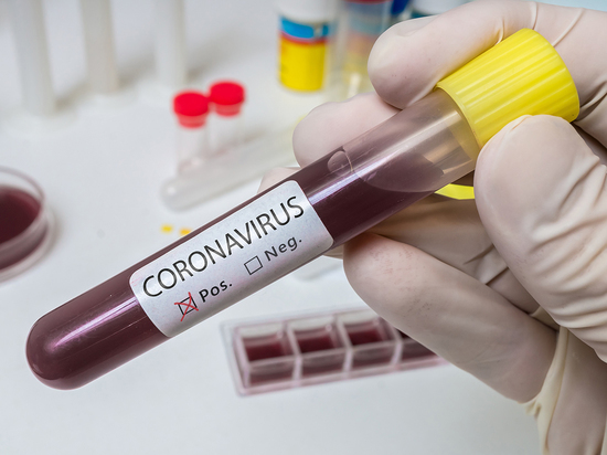 Ещё 242 жителя области подхватили новую коронавирусную инфекцию
