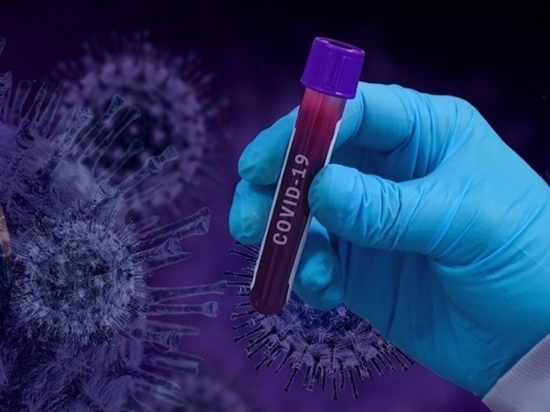 В Хакасии заболели коронавирусом еще 88 человек