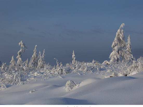 Завтра в четырёх районах Якутии температура воздуха снизится на 8-13°С