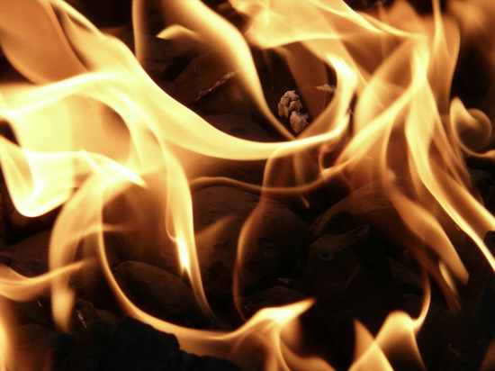 Четыре человека сгорели в жилом доме в Псковской области