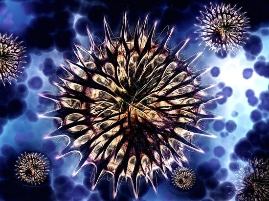 В Хакасии еще 94 человека заразились коронавирусом
