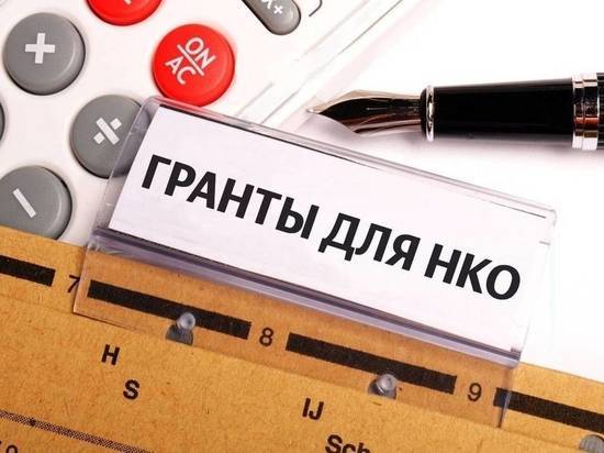 Тамбовские НКО в прошлом году получили почти 55 миллионов рублей