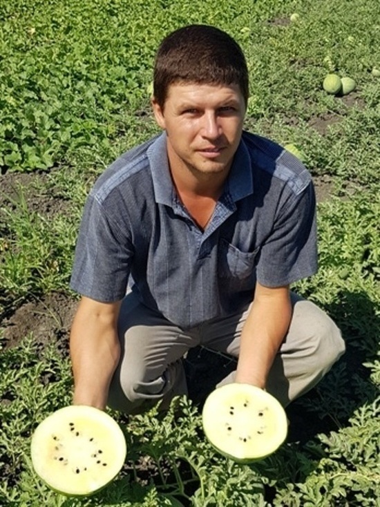 В Астраханской области создали уникальный арбуз
