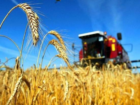 Хороший 2020-ый — Костромские сельхозпроизводители получили грантов на 50 миллионов рублей