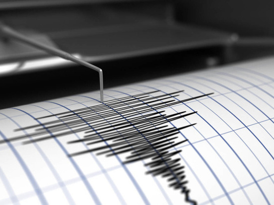 МЧС: Сильное землетрясение в Монголии дошло до Хакасии
