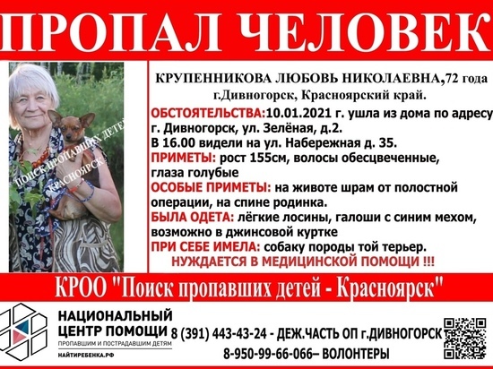 В Дивногорске бабушка с собакой ушла из дома в летней одежде и пропала