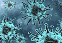 В организме россиянки, полгода болевшей COVID-19, выявили 18 новых мутаций коронавируса