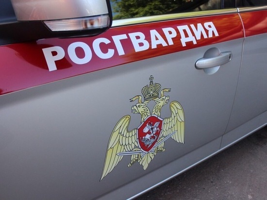 Росгвардия задержала свыше 150 правонарушителей за новогодние праздники в Курской области