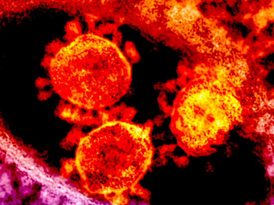 Еще 8 омичей умерло от коронавируса за прошлые сутки