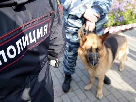 В калмыцкой столице задержан уличный грабитель