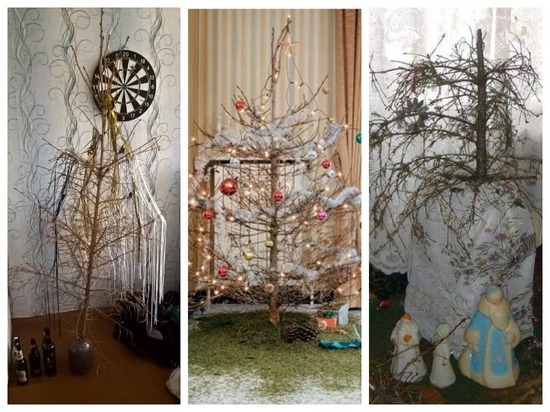 Депутат Госдумы хочет запретить россиянам выбрасывать новогодние елки