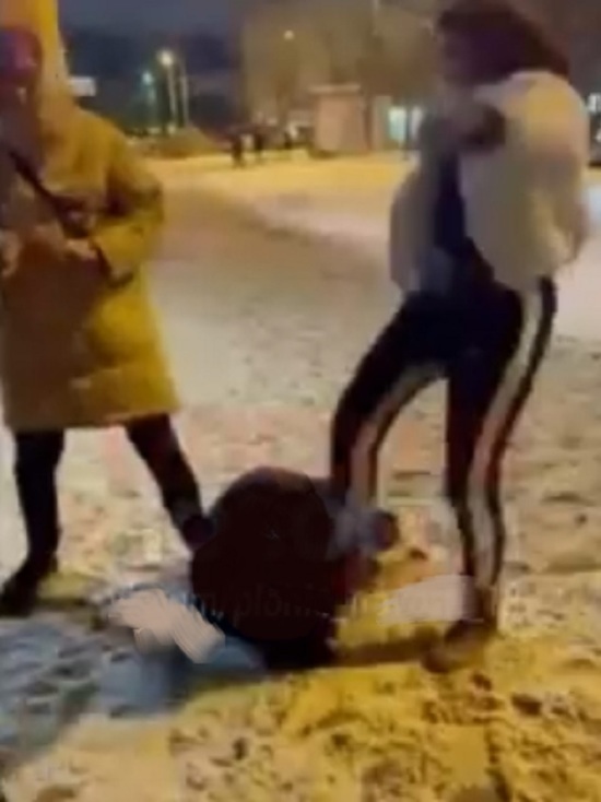 На центральной улице Ярославля ногами запинали девушку подростка