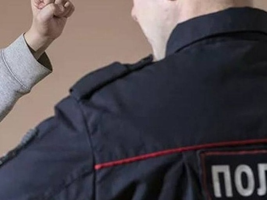 В Калмыкии участились случаи оскорбления полицейских