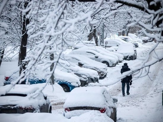 Мэр Белгорода просит жителей региона не ставить машины в проездах из-за снегопада