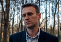 Оппозиционный политик Алексей Навальный сообщил, что вернется в Россию 17 января