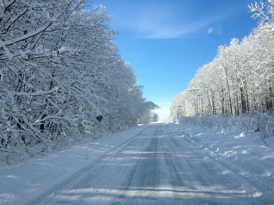 Тамбовская Госавтоинспекция напоминает о безопасности на зимней дороге