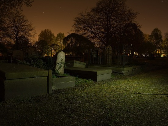 Автопилот "Tesla" показал силуэт человека на пустом кладбище