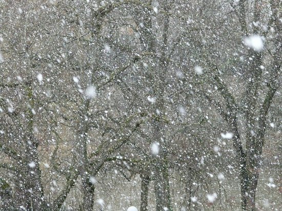 На Владимирскую область надвигаются снегопад и метели