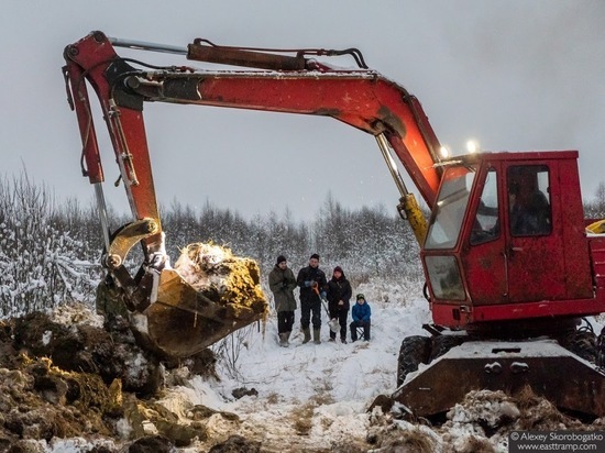 В Тверской области поисковики из трех регионов искали останки летчика Ил-2