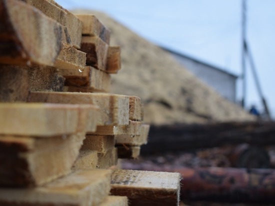  8, 5 тыс жителей Бурятии получили древесину для собственных нужд