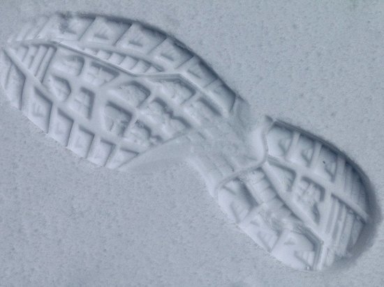 Ушел, но обещал вернуться: житель Карелии не оправдал доверия