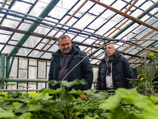 В Донецке готовятся к высадке 300 000 цветов