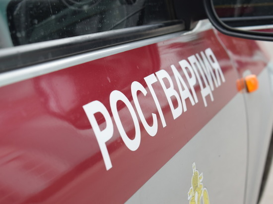 Росгвардейцы задержали в Нижнем Новгороде женщину за кражу