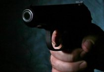 Разобраться в конфликте между грузинами и езидами, который 13 января перерос в стрельбу из травматического пистолета в ресторане на Ленинградском проспекте, пытаются полицейские следователи
