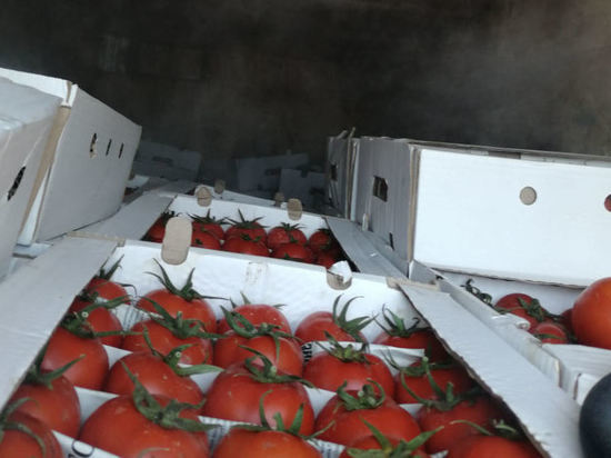 В Оренбургскую области привезли опасные фрукты и овощи