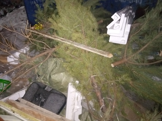 В Оренбурге новогодние деревья не пойдут на корм и подстилки