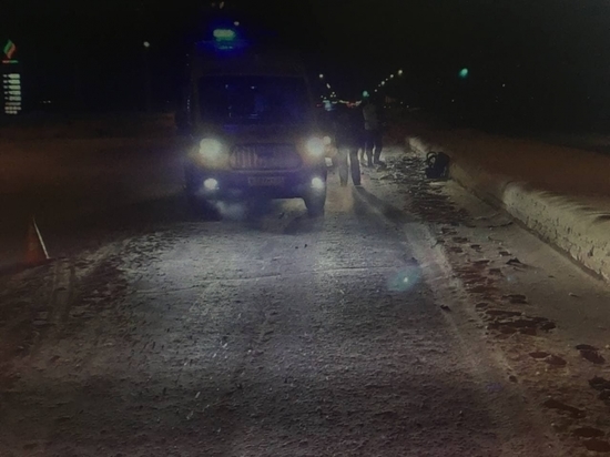 Женщина-пешеход погибла под колесами иномарки в Новочебоксарске