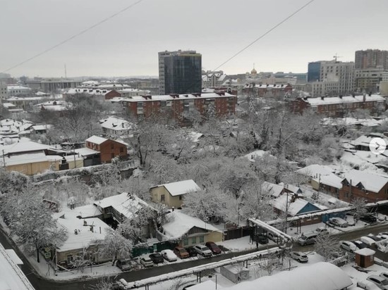 Краснодар замело снегом: жители добираются домой на собачьих упряжках