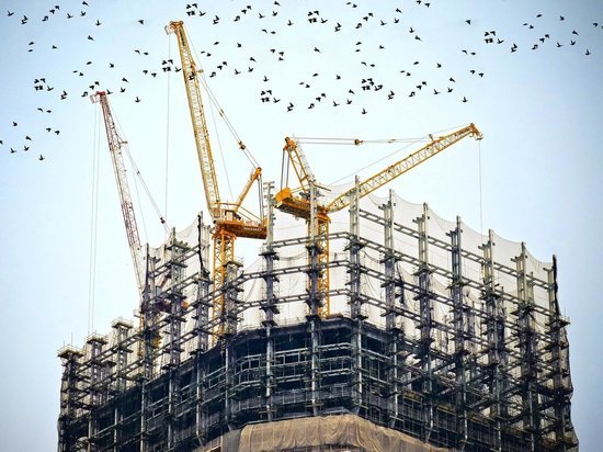 Крупного саратовского чиновника подозревают в мошенничестве и махинациях с землей