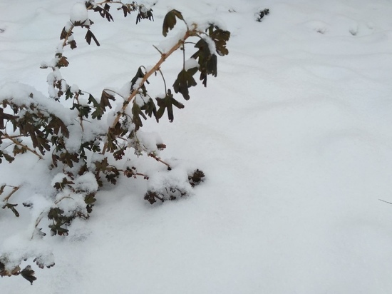 На выходных Оренбургскую область ожидает снег и холодный ветер