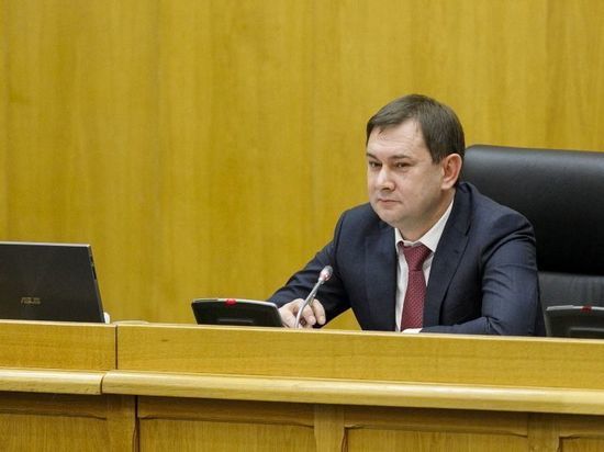 Владимир Нетёсов озвучил план законодательной деятельности Воронежской областной Думы на 2021 год