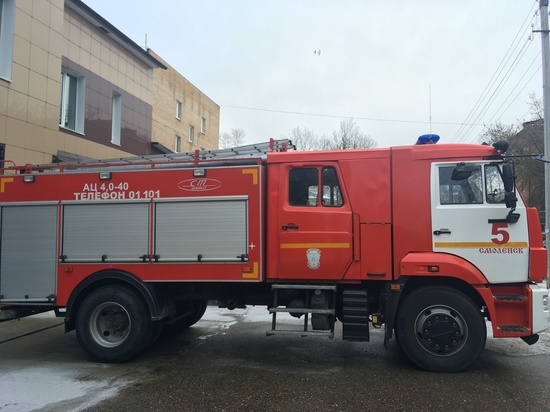 12 пожаров за сутки стали рекордом нового года в Смоленской области