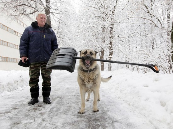 Высота снежного покрова в Москве почти достигла 40 см
