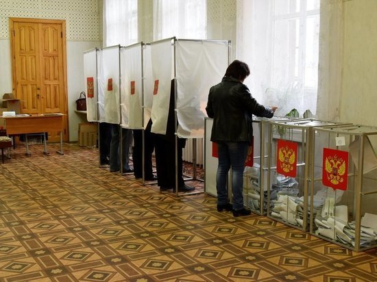 На выборах в Нерехтском районе Костромской области явка составила более 8 процентов