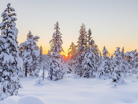 В Нижегородской области ожидаются морозы до -36 градусов
